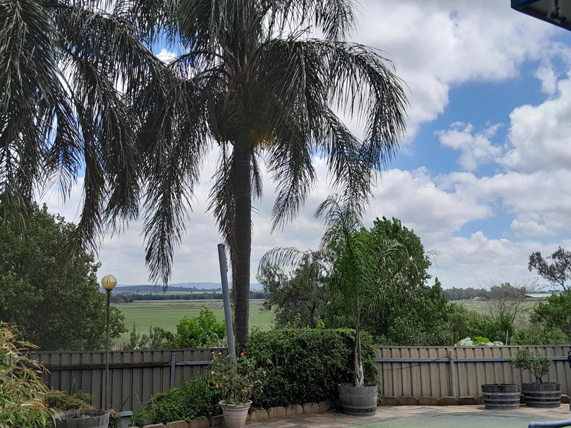 Muswellbrook Northside Bed & Breakfast Ngoại thất bức ảnh